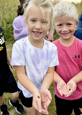 Learning Shapes Lives