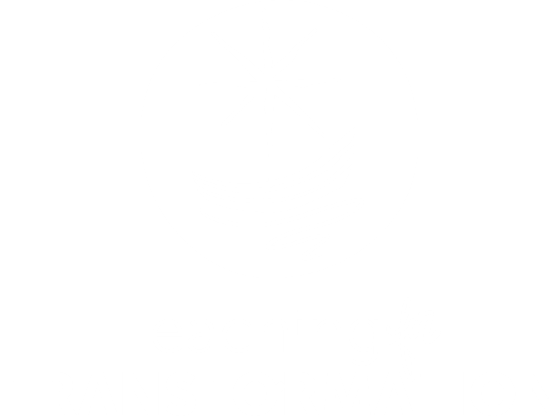 Teaching for Transformation